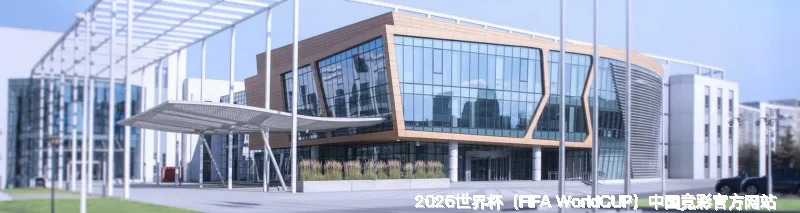 我们的故事：始于热爱，成于专业
